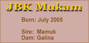 Mukam Info